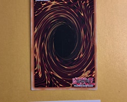 Odd-Eyes Pendulum Dragon 1st Edition DUPO-EN105 Duel Power Yu-Gi-Oh