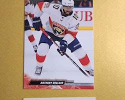 #327 Anthony Duclair 2022-23 Upper Deck Series 2 Hockey