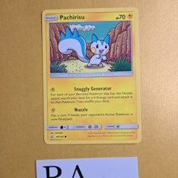 Pachirisu Common 49/156 Ultra Prism Pokemon Kort