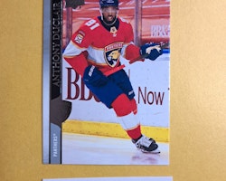 #556 Anthony Duclair 2020-21 Upper Deck Extended Series Hockey