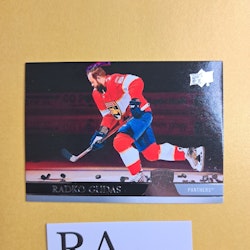 #557 Radko Gudas 2020-21 Upper Deck Extended Series Hockey