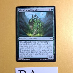 Blanchwood Prowler Common 172/287 The Brothers War Magic the Gathering