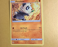 Pancham Common 65/131 Forbidden Light Pokemon