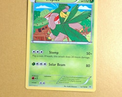 Tropius Uncommon 12/108 Roaring Skies Pokemon