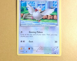 Pidove Common 78/108 Roaring Skies Pokemon