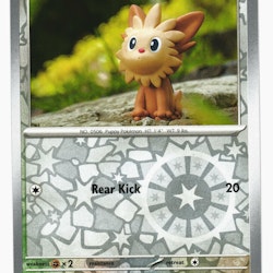 Lillipup Reverse Holo Common 170/197 Obsidian Flames Pokemon