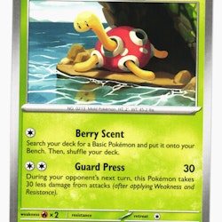 Shuckle Common 005/197 Obsidian Flames Pokemon