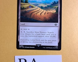 Shire Terrace Common 261 The Lord of the Rings Tales of Middle-earth Magic the Gathering