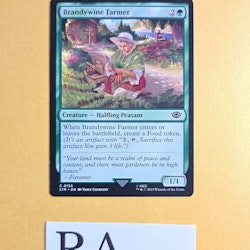 Brandywine Farmer Common 155 The Lord of the Rings Tales of Middle-earth Magic the Gathering
