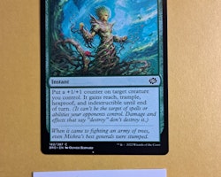 Gaeas Gift Common 182/287 The Brothers War Magic the Gathering