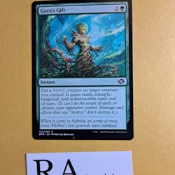 Gaeas Gift Common 182/287 The Brothers War Magic the Gathering