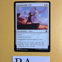 Indomitable Will Common 025/254 Theros Beyond Death (THB) Magic the Gathering
