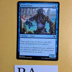 Brine Giant Common 044/254 Theros Beyond Death (THB) Magic the Gathering