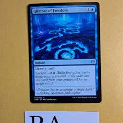 Glimpse of Freedom Uncommon 050/254 Theros Beyond Death (THB) Magic the Gathering