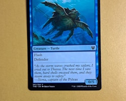 Riptide Turtle Common 061/254 Theros Beyond Death (THB) Magic the Gathering