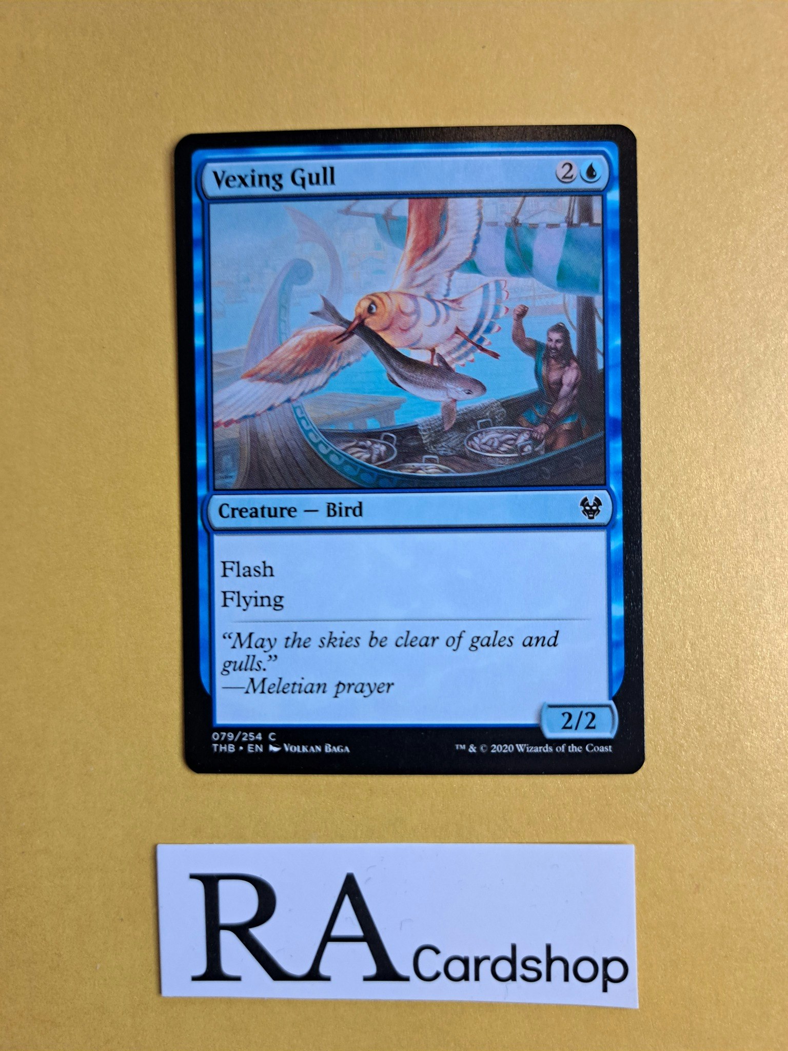 Vexing Gull Common 079/254 Theros Beyond Death (THB) Magic the Gathering