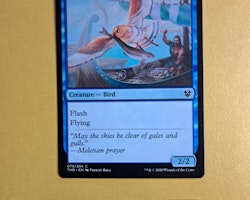 Vexing Gull Common 079/254 Theros Beyond Death Magic the Gathering