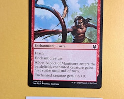 Aspect of Manticore Common 127/254 Theros Beyond Death Magic the Gathering