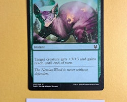 Gift of Strenght Common 171/254 Theros Beyond Death Magic the Gathering