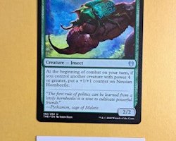 Nessian Hornbeetle Uncommon 182/254 Theros Beyond Death Magic the Gathering