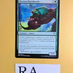 Nessian Hornbeetle Uncommon 182/254 Theros Beyond Death Magic the Gathering