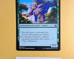 Nyxborn Colossus Common 191/254 Theros Beyond Death Magic the Gathering