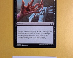 Grotesque Mutation Common 115/297 Shadows Over Innistrad Magic the Gathering