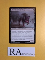 Hound of the Farbogs Common 117/297 Shadows Over Innistrad Magic the Gathering