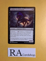 Stallion of Ashmouth Common 136/297 Shadows Over Innistrad Magic the Gathering