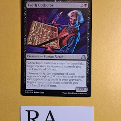 Tooth Collector Uncommon 140/297 Shadows Over Innistrad Magic the Gathering