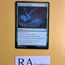 Return to Nature Common 195/277 Innistrad Midnight Hunt (MID) Magic the Gathering