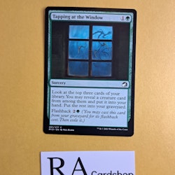 Tapping at the Window Common 201/277 Innistrad Midnight Hunt (MID) Magic the Gathering