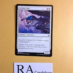 Felidar Cub Common 025/274 Battle for Zendikar Magic the Gathering