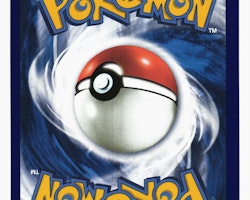 Noctowl Reverse Holo Uncommon 107/147 Burning Shadows Pokemon