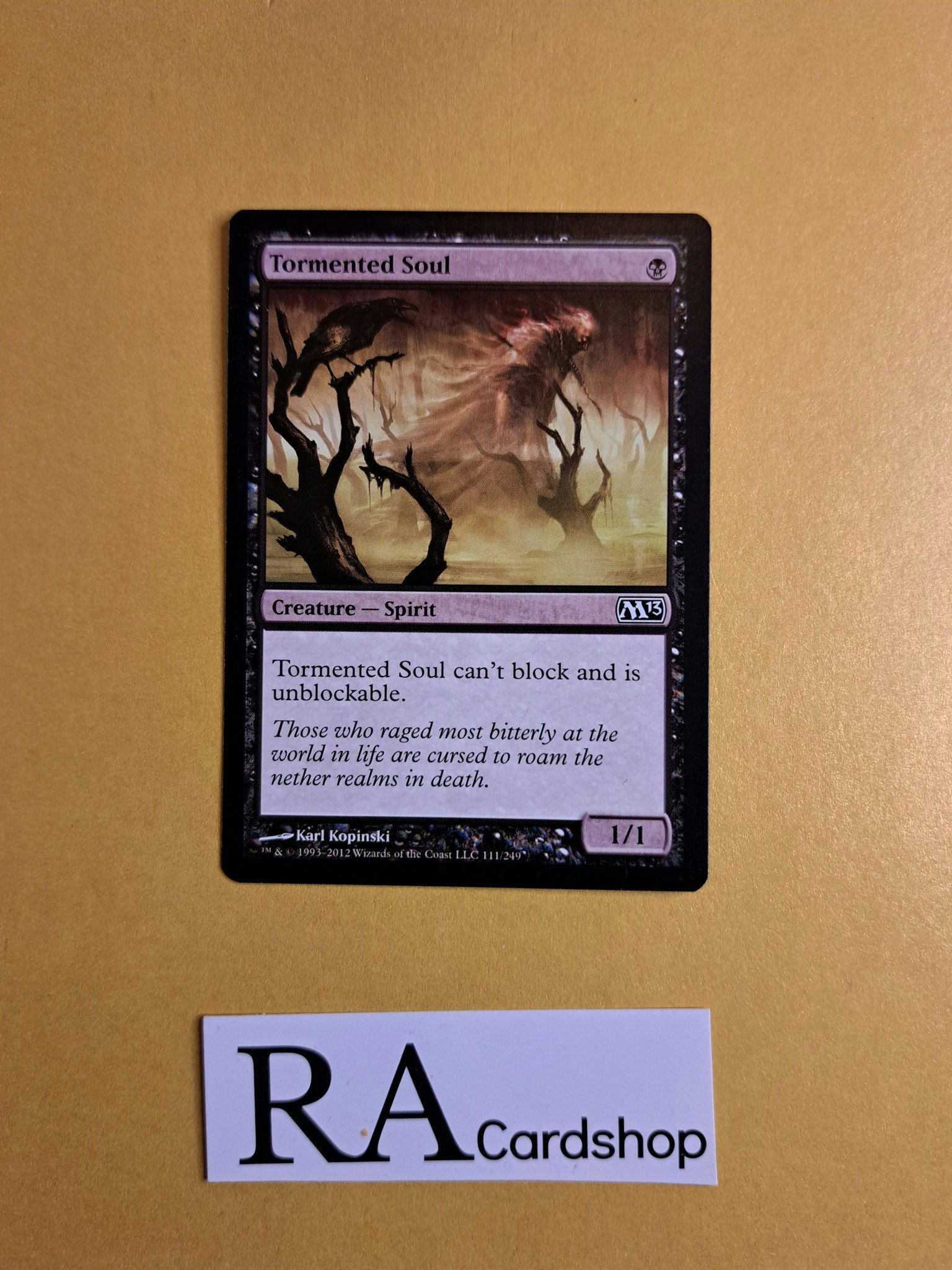 Tormented Soul Common 111/249 Core 2013 (M13) Magic the Gathering