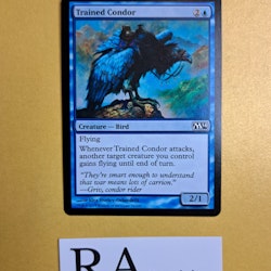 Trained Condor Common 76/249 Magic 2014 Magic the Gathering