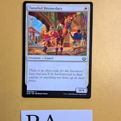 Tasseled Dromedary Common 030/264 Kaladesh (KLD) Magic the Gathering