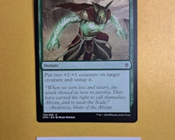 Dragonscale Boon Common 131/269 Khans of Tarkir (KTK) Magic the Gathering