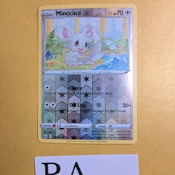 Minccino Reverse Holo Common 145/202 Sword & Shield Pokemon