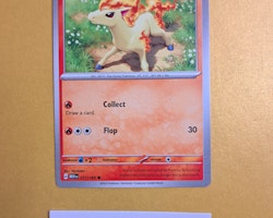 Ponyta Common 077/165 Pokemon 151