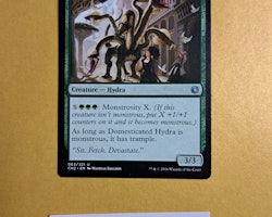 Domesticated Hydra Uncommon 063/221 Conspiracy Take the Crown Magic the Gathering
