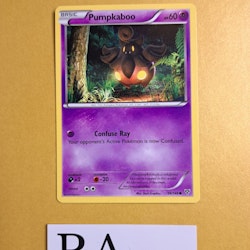 Pumpkaboo Common 56/146 XY Base Set Pokemon