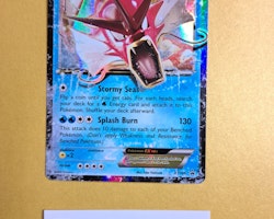 Gyarados EX XY106 Black Star Promo Pokemon