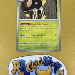 Toedscruel Uncommon 017/182 Paradox Rift Pokemon