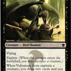 Vulturous Aven Common 126/264 Dragons of Tarkir (DTK) Magic the Gathering