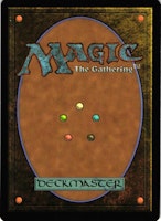 Wind Drake Common 20/156 Dragons Maze (DGM) Magic the Gathering