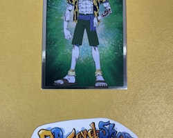 Arlong Park Epic Journey 50 Trading Cards Panini One Piece