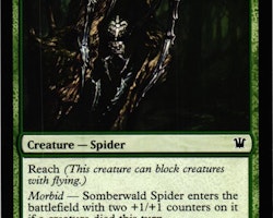 Somberwald Spider Common 202/264 Innistrad Magic the Gathering