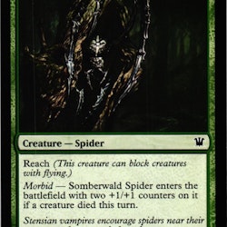 Somberwald Spider Common 202/264 Innistrad Magic the Gathering
