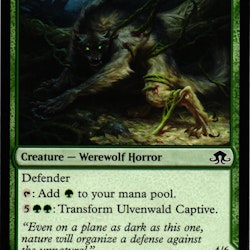 Ulvenwald Abomination / Ulvenwald Captive Common 175/205 Eldritch Moon (EMN) Magic the Gathering